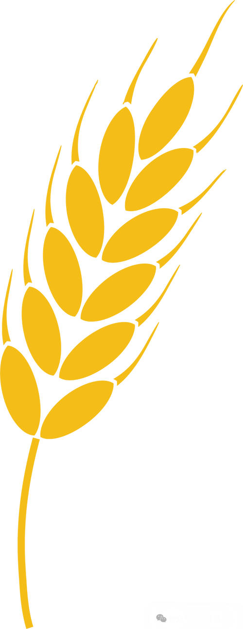 ca1ce5da88045805d16b26f3c3040169.png ca1ce5da88045805d16b26f3c3040169.png